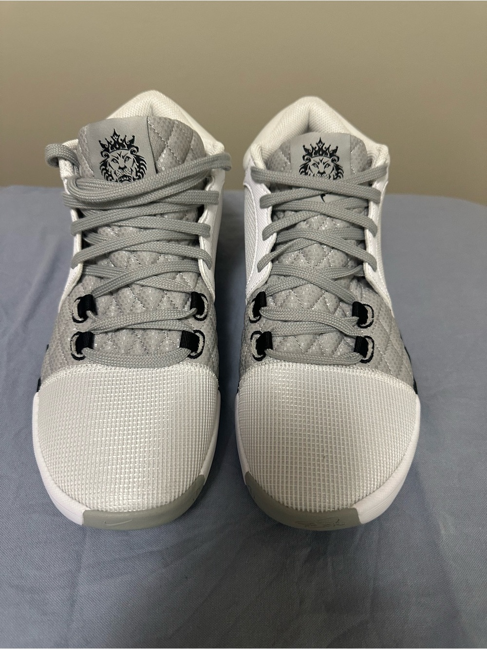 Nike LeBron Shoes in White and Light Gray - Lightweight Training Sneakers